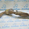 Система выпуска (выхлоп) Audi (Ауди) A8 III D4 4H (09-17)