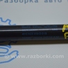 ФОТО Капот для Audi (Ауди) A8 III D4 4H (09-17) Одеса