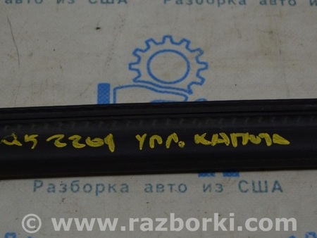 ФОТО Капот для Audi (Ауди) Q5 II FY (17-24) Одеса
