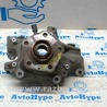 Кулак, Цапфа, Ступица Audi (Ауди) Q5 II FY (17-24)