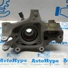 Кулак, Цапфа, Ступица Audi (Ауди) Q5 II FY (17-24)