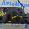 ФОТО Капот для Audi (Ауди) Q5 I 8R (08-17) Одеса