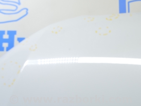 ФОТО Капот для Audi (Ауди) Q5 I 8R (08-17) Одеса