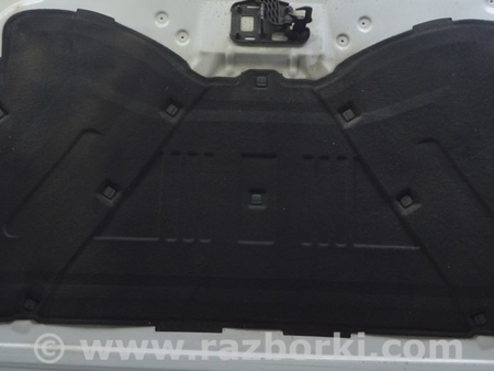 ФОТО Капот для Audi (Ауди) Q5 I 8R (08-17) Одеса