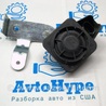 Клаксон / гудок Audi (Ауди) Q5 II FY (17-24)