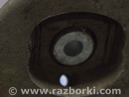 ФОТО КулакЦапфаСтупица для Audi (Ауди) Q5 I 8R (08-17) Одеса