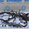 Проводка Audi (Ауди) Q5 I 8R (08-17)