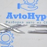 Дверь багажника BMW X3 II F25 (10-17)