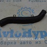 Система охлаждения Honda Accord X CV1/CV2/CV3 (17-22)