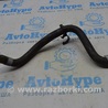 Система охлаждения Honda Accord X CV1/CV2/CV3 (17-22)