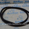 Уплотнитель проема Honda Accord X CV1/CV2/CV3 (17-22)
