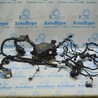 Проводка Hyundai Elantra VI AD (15-20)