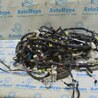 Проводка Lexus ES350 (06-12)