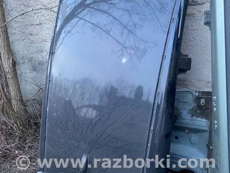 ФОТО Крыша и люк для Nissan LEAF (10-17) Одеса