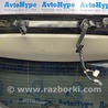 Дверь багажника Nissan Murano Z52 (14-24)