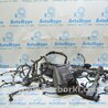 Проводка Subaru Forester SK S14 (18-24)