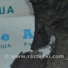 ФОТО Крылья для Toyota Avalon XX30 (12.2004-10.2012) Одеса