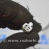 ФОТО ABS для Toyota Sienna (11-16) Одеса