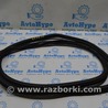 Уплотнитель проема Volkswagen Passat B7 (09.2010-06.2015)