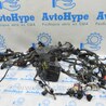 Проводка Audi (Ауди) A3 III 8V (12-20)