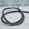 Уплотнитель проема Lexus IS250/350 II XE20 (05-13)