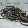 Проводка Lexus IS250/350 II XE20 (05-13)