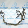 Проводка Lexus LS460 USF41/UVF45 (07-12)