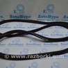 Дверь багажника Toyota Highlander (13-19)