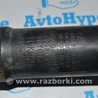 ФОТО Стойка амортизатора для Toyota Sequoia (08-17) Одеса
