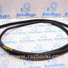 Уплотнитель проема Toyota Sequoia (08-17)