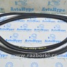 Дверь багажника Ford C-MAX Mk2 (10-19)