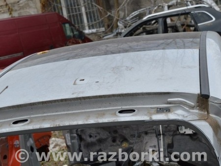 ФОТО Крыша и люк для Ford C-MAX Mk2 (10-19) Одеса