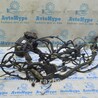 Проводка Ford C-MAX Mk2 (10-19)
