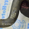 ФОТО Дверь багажника для Infiniti QX30 (15-19) Одеса