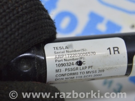 ФОТО Ремень безопасности для Tesla Model 3 (17-23) Одеса