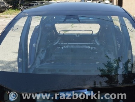 ФОТО Крыша и люк для Tesla Model 3 (17-23) Одеса