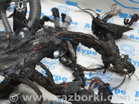 ФОТО Проводка для Toyota Tundra III XK70 (2022-) Одеса