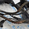 ФОТО Проводка для Toyota Tundra III XK70 (2022-) Одеса