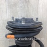 ФОТО Амортизатор для Lexus HS250h ANF10 (09-13) Київ