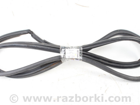 ФОТО Уплотнитель двери задней правой для Toyota RAV-4 V XA50 (18-25) Київ