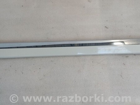 ФОТО Молдинги для Volkswagen Passat B8 (2014-2023) Чернигов