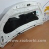 ФОТО Капот для Nissan NV200 (09-15) Чернігів