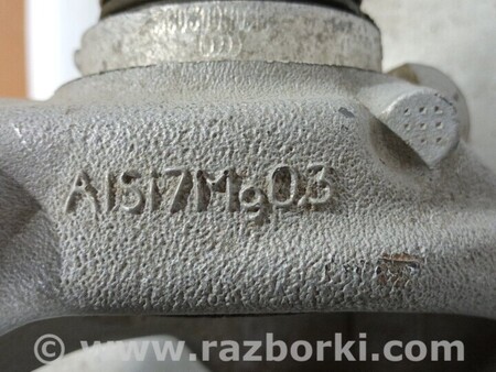 ФОТО Цапфа для Audi (Ауди) A4 V B9 - 8W (2015-) Чернигов
