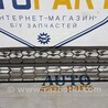 Решітка радіатора Skoda Octavia A7 III SE (13-20)