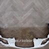 ФОТО Аеродинамический обвес весь для Volkswagen Passat B8 (2014-2023) Чернигов