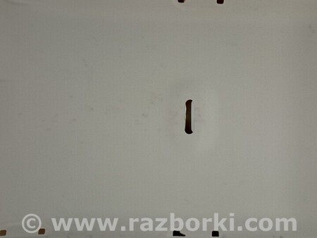 ФОТО Потолок для Nissan Qashqai J10 (06-13) Чернігів
