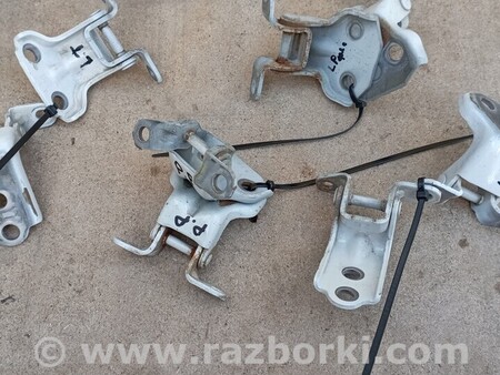 ФОТО Петлі для Subaru Outback (різне не сортоване) Чернигов