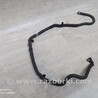 ФОТО Патрубок системы охлаждения для Ford Focus 2 (08.2004 - 07.2010) Чернигов