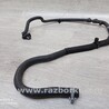 ФОТО Патрубок системы охлаждения для Ford Focus 2 (08.2004 - 07.2010) Чернигов
