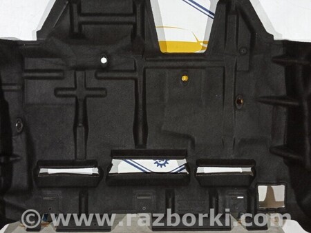 ФОТО Захист для Ford Transit Custom TTF (08.2012-...) Чернигов